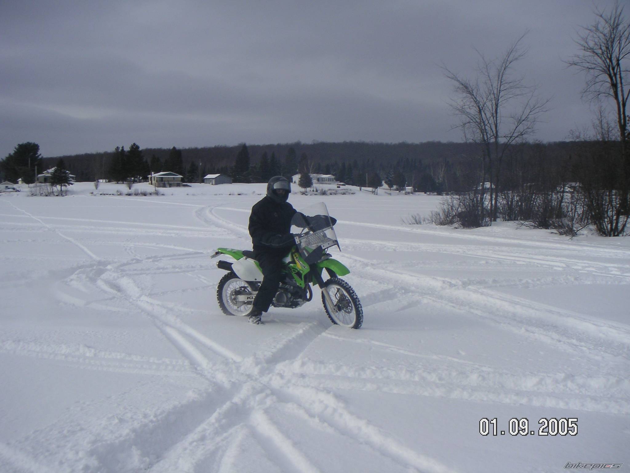 Photo 297327