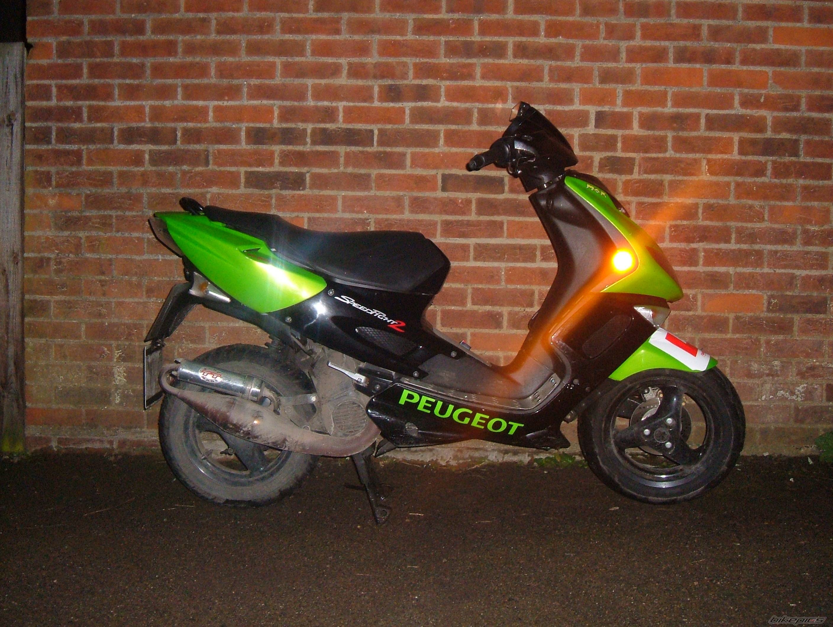 Photo 297396