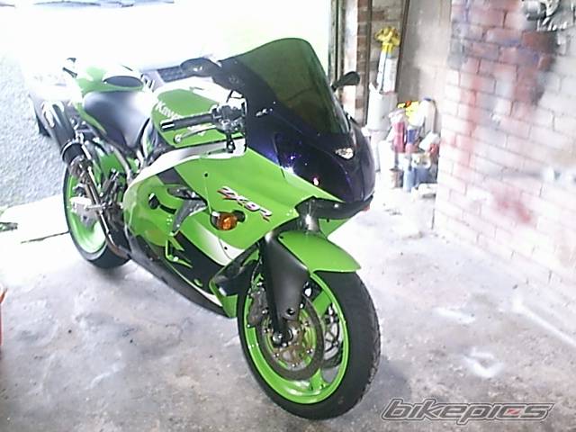Photo 297401
