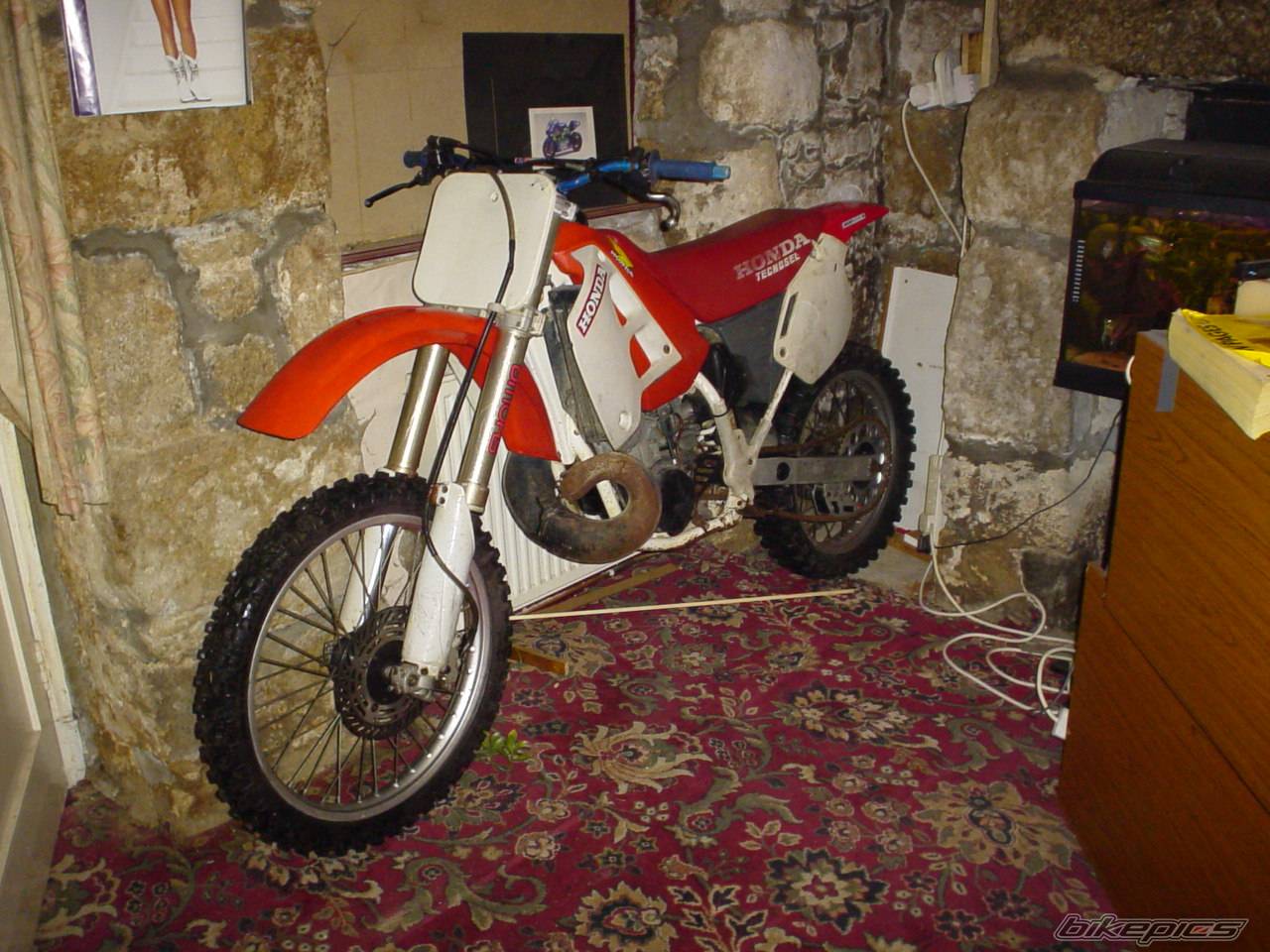 Photo 297459