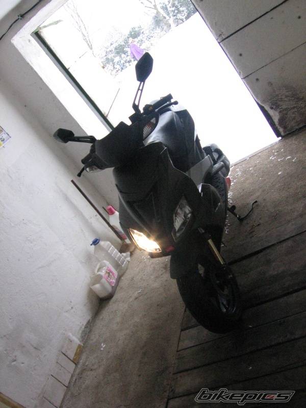 Photo 297465