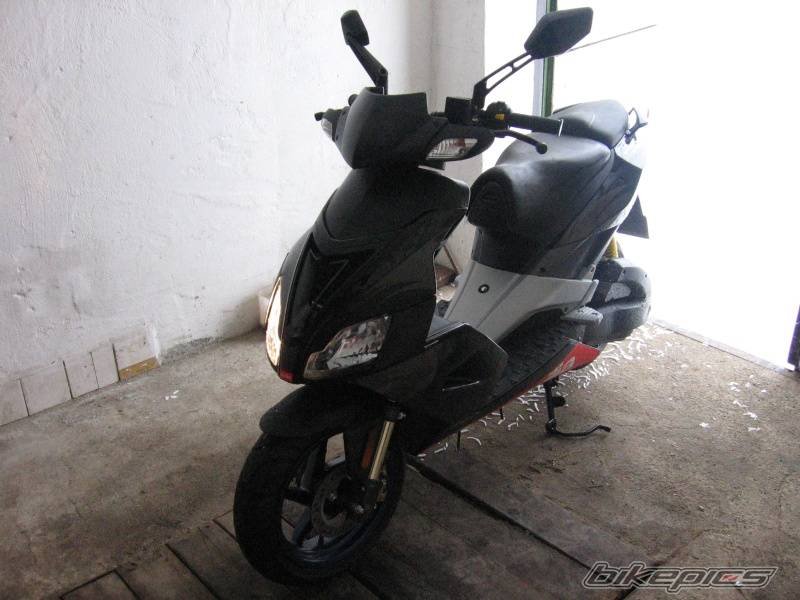 Photo 297466