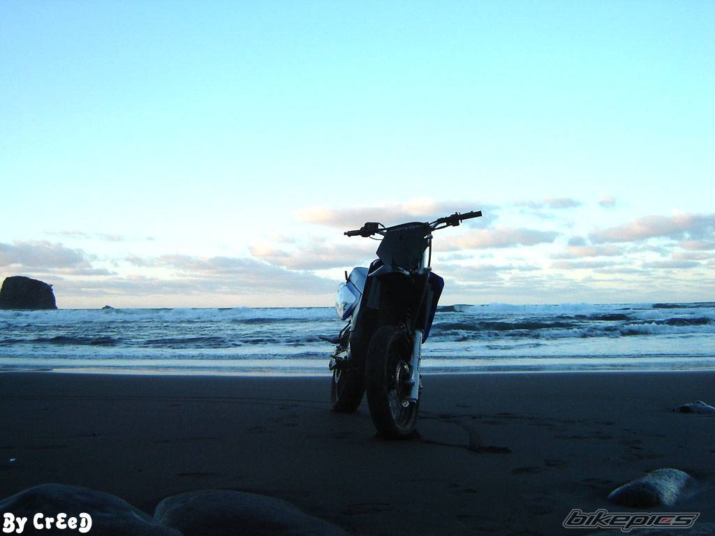 Photo 297501