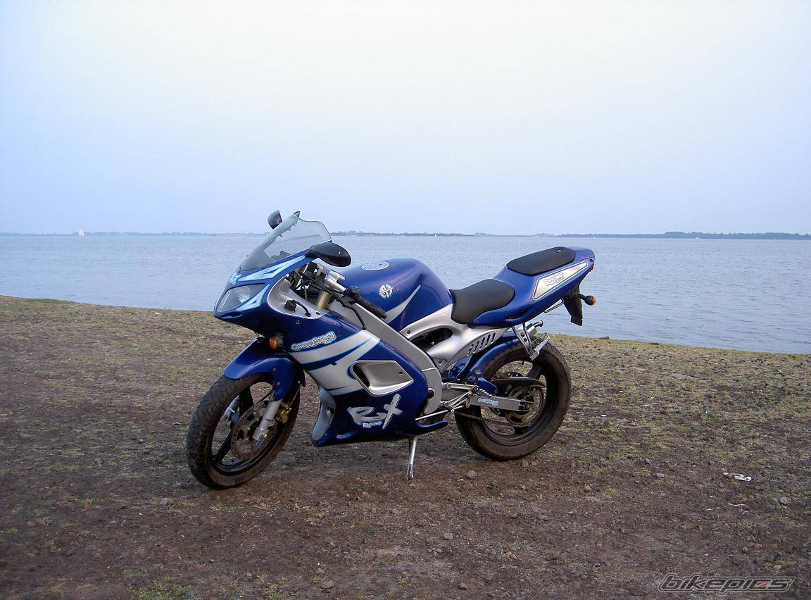 Photo 297532