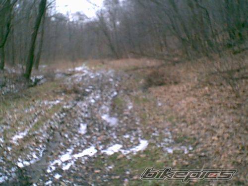 Bike Photo 297534