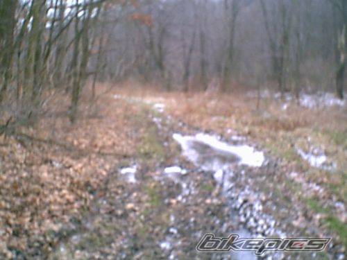 Bike Photo 297536