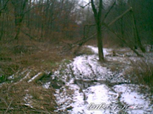 Bike Photo 297537