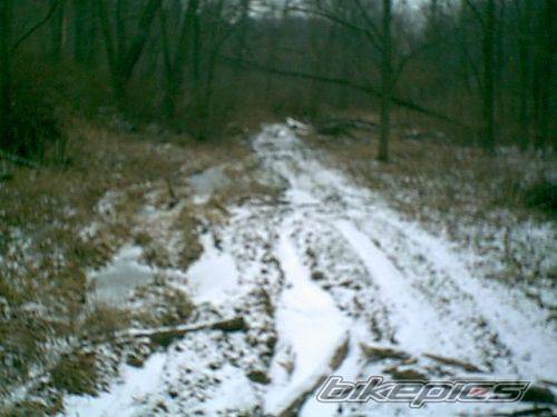 Bike Photo 297539
