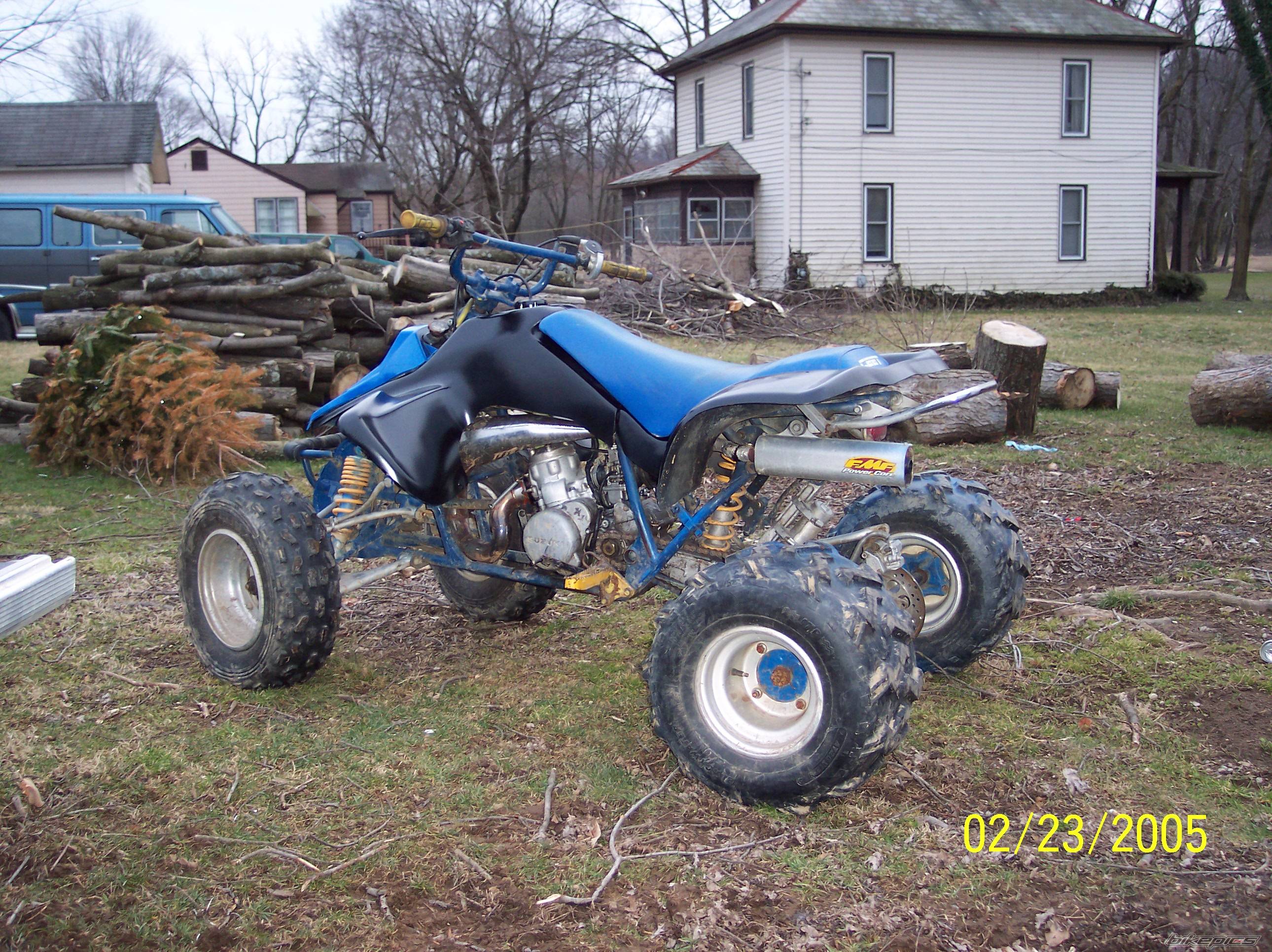 Photo 297560