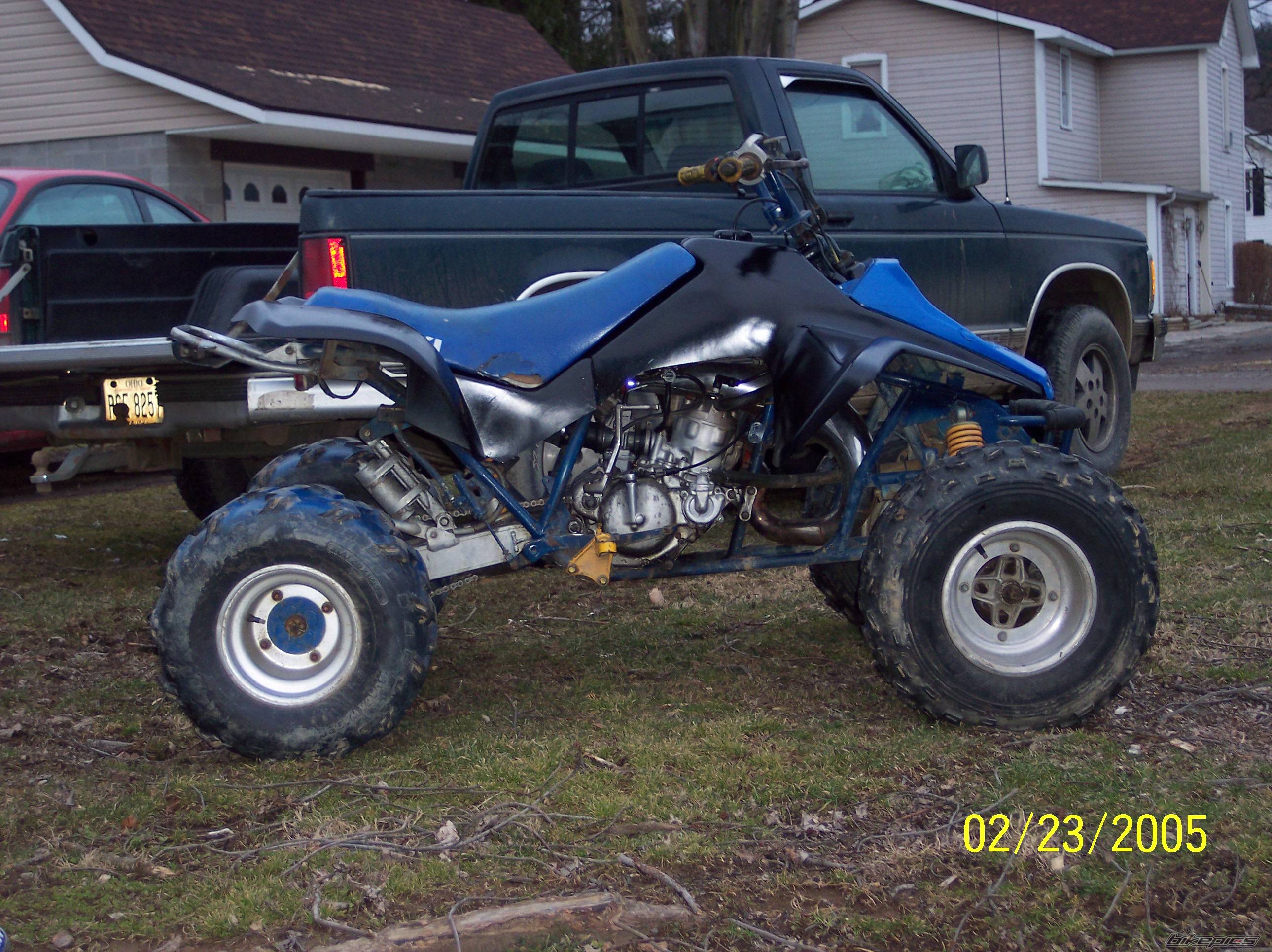 Photo 297562