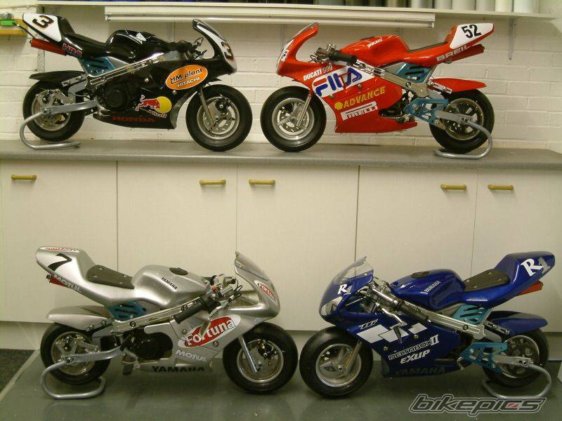 Photo 297567