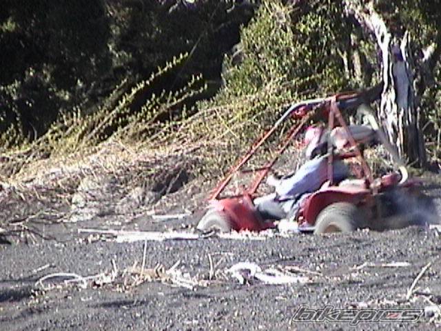 Photo 297586
