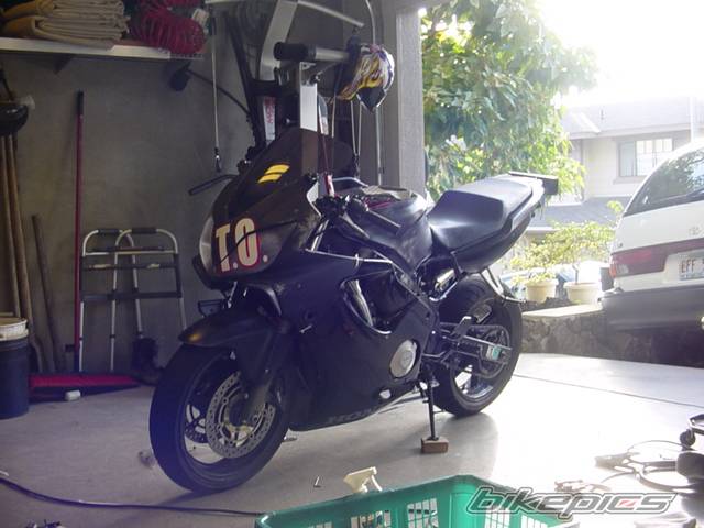 Photo 297636