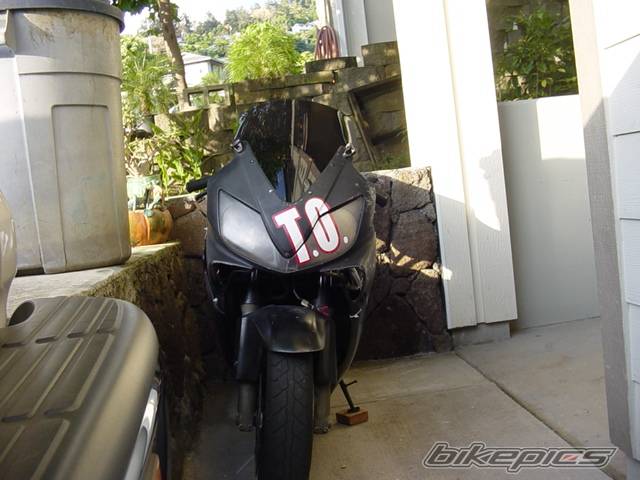 Photo 297637