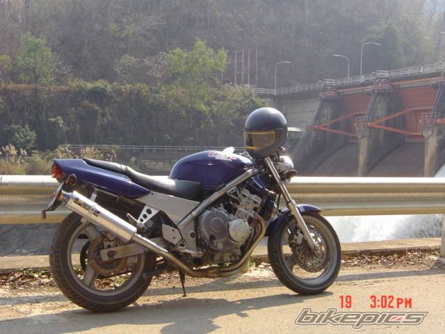 Photo 297643
