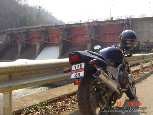 Photo 297644