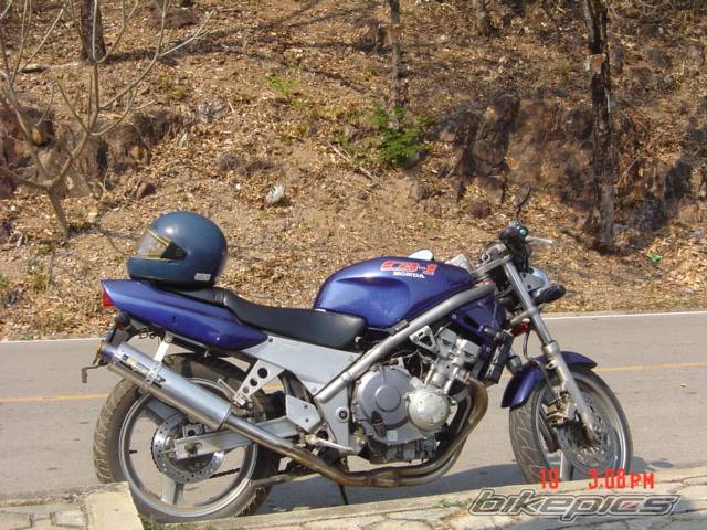 Photo 297647
