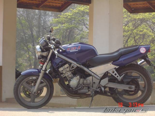 Photo 297648