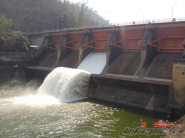 Photo 297649