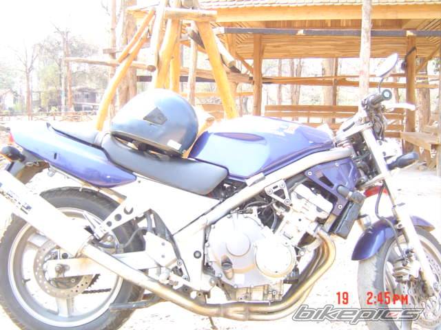 Photo 297661
