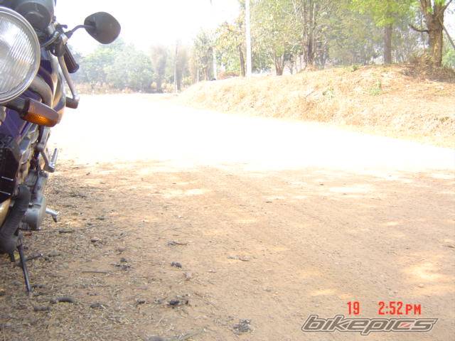 Photo 297662
