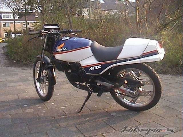 Photo 297663