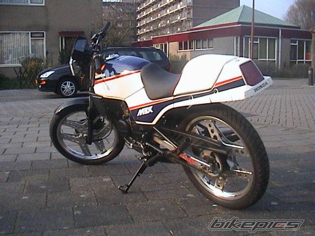 Photo 297665