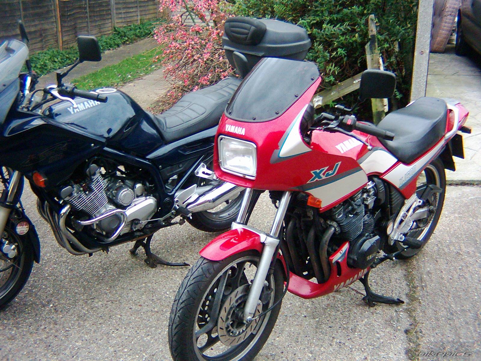 Photo 297716