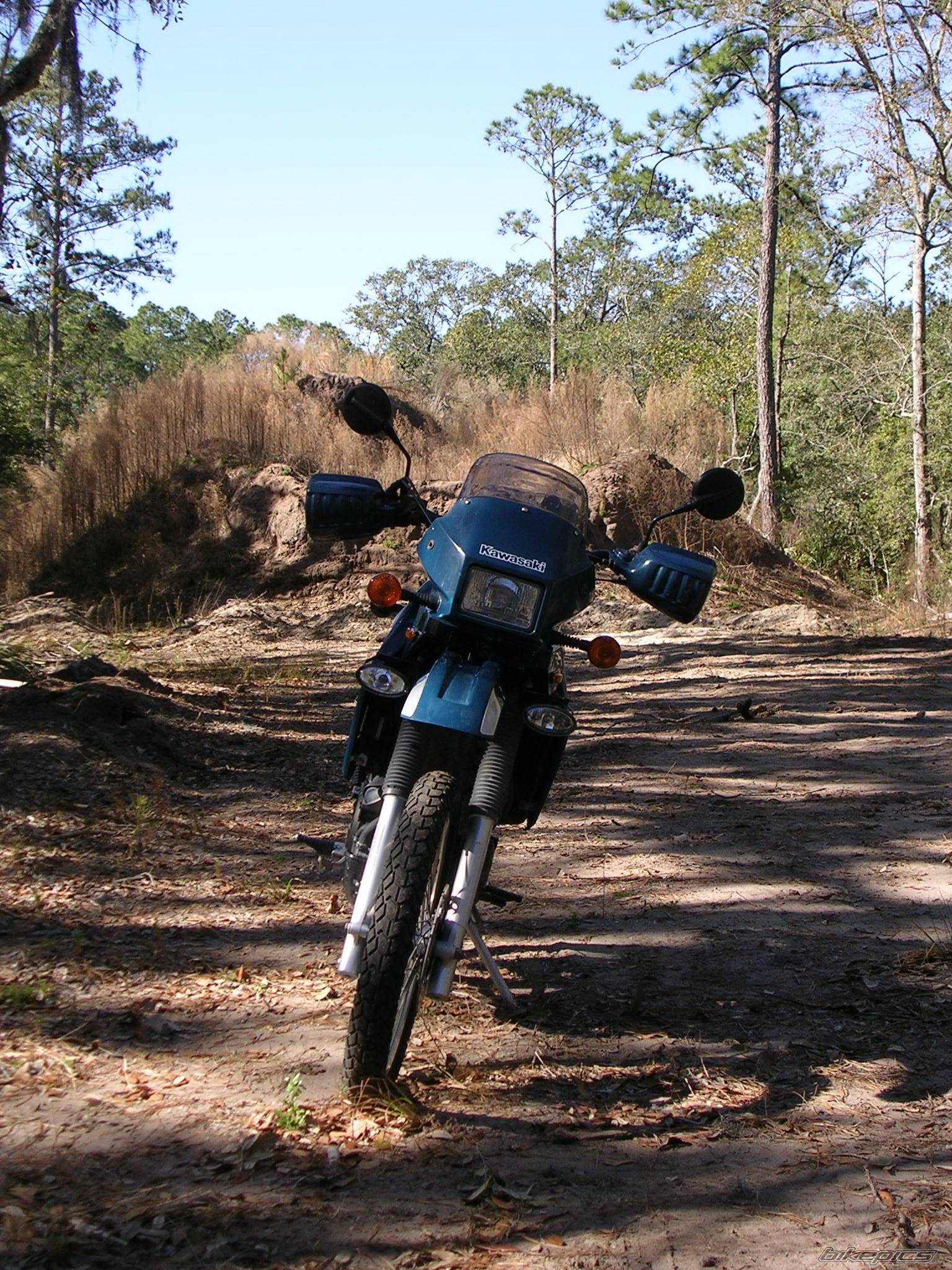 Photo 297717