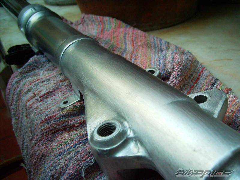Photo 297720
