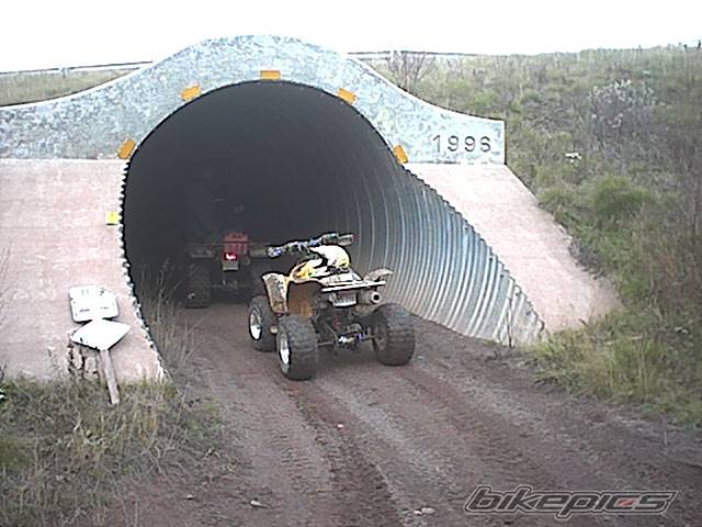 Photo 297725