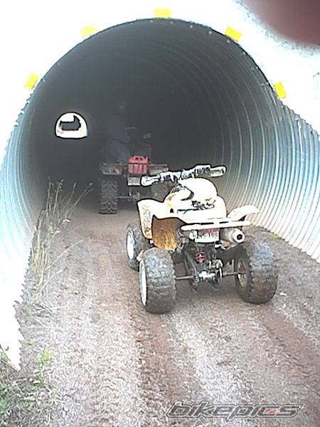 Photo 297726