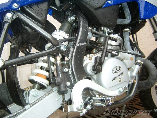 Photo 297748