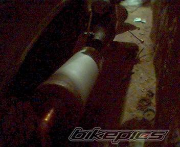 Photo 297779
