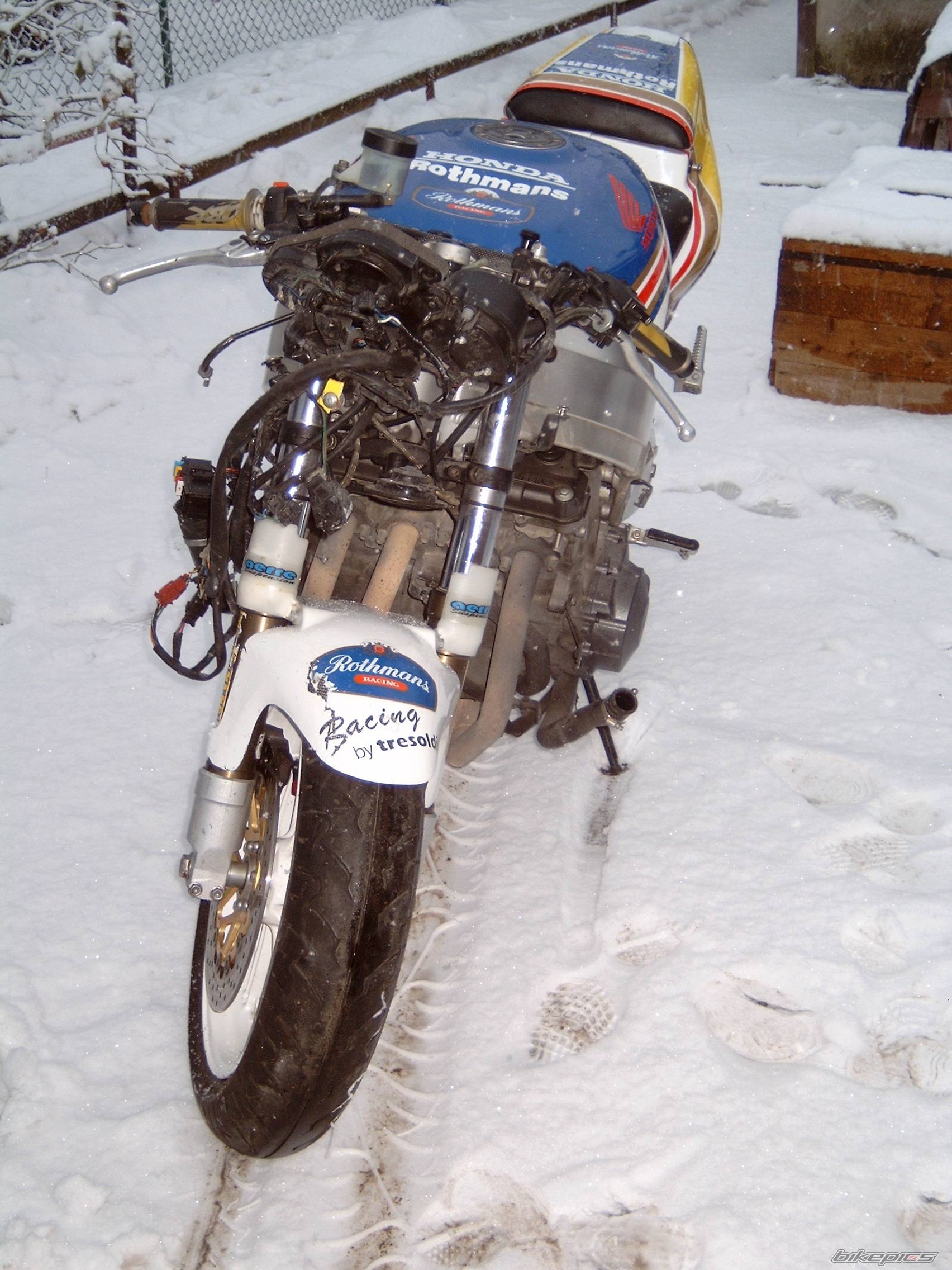 Photo 297790
