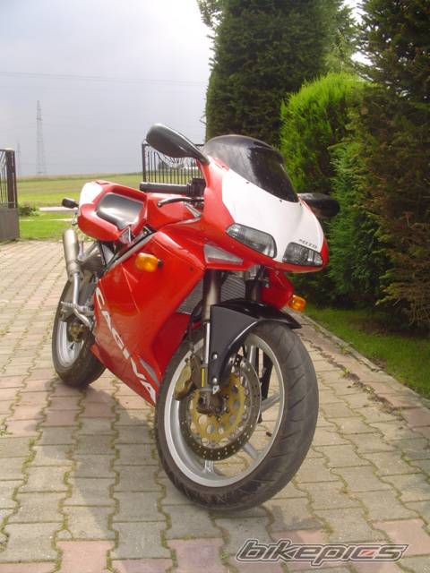 Photo 297826