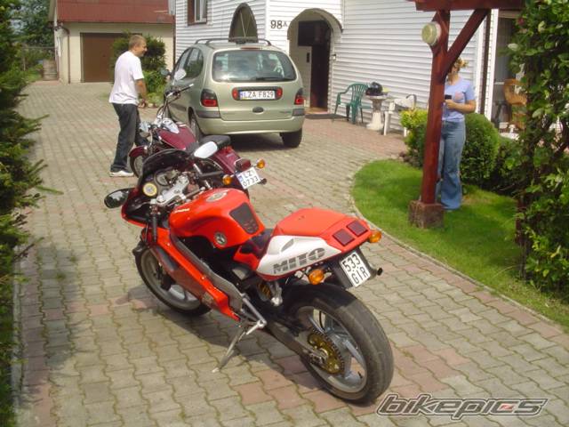 Photo 297829