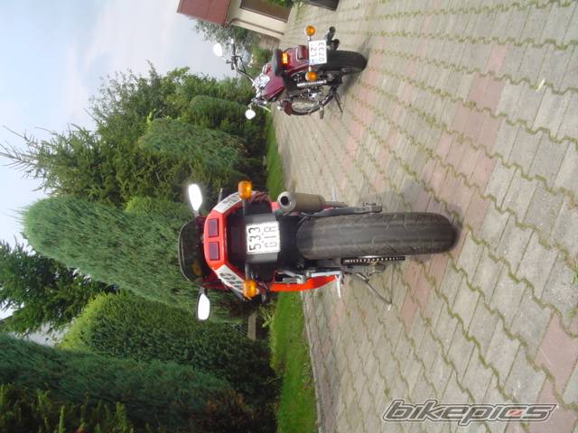 Photo 297830