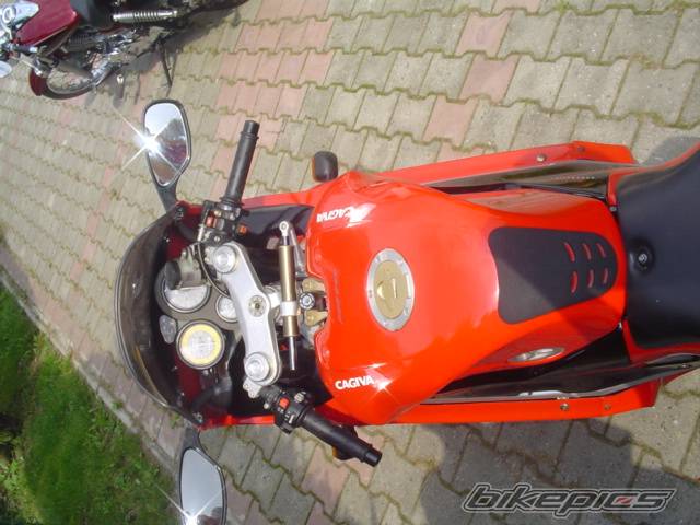 Photo 297831