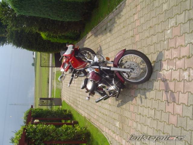 Photo 297837