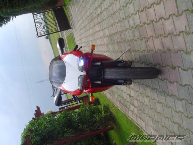 Photo 297844