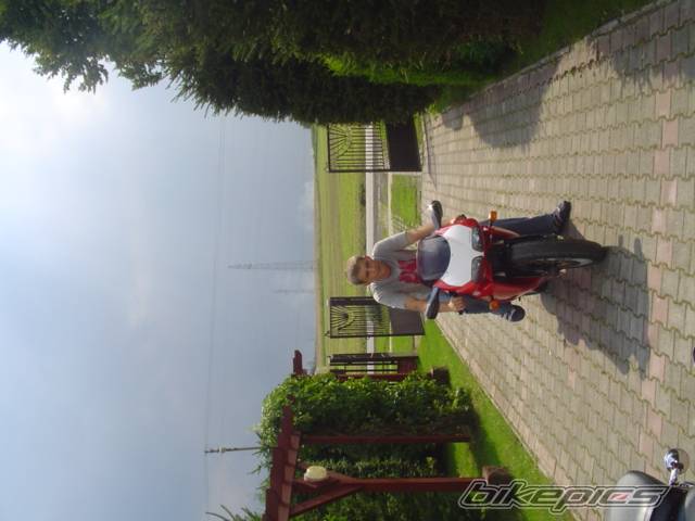 Photo 297845