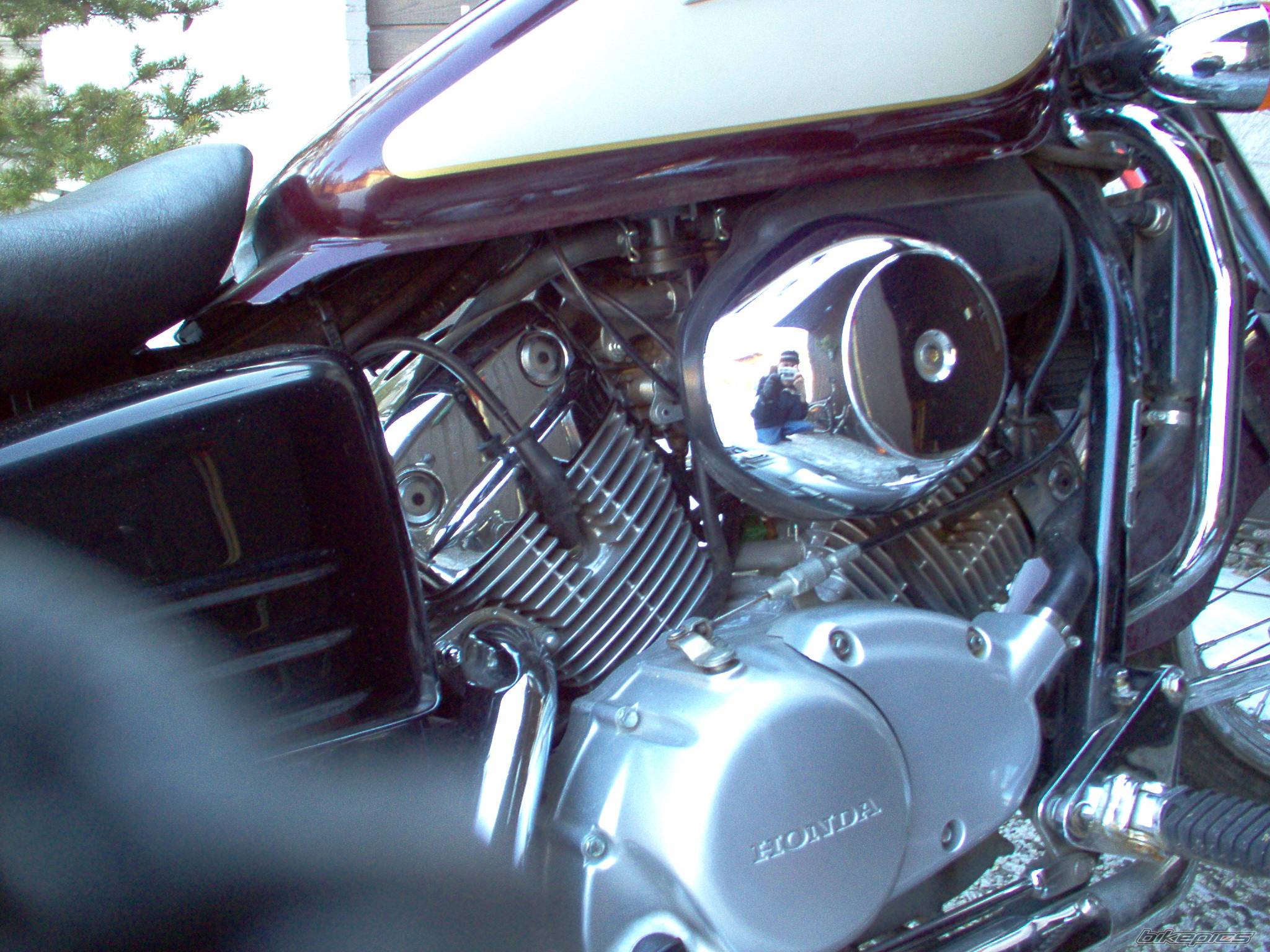 Photo 297849