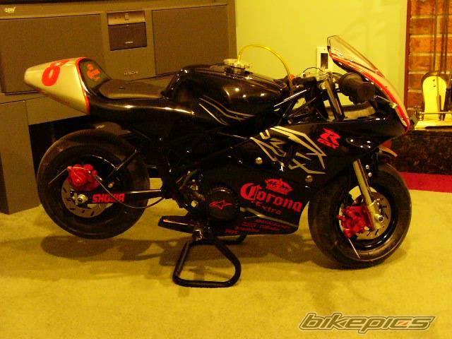 Photo 297853