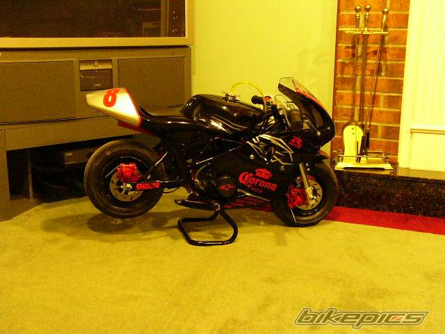 Photo 297855