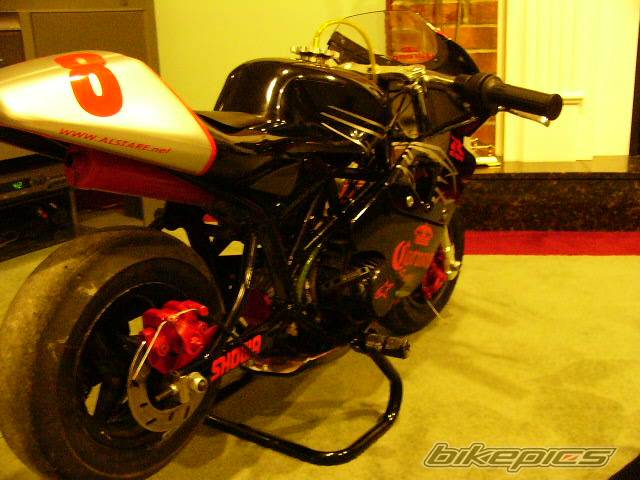 Photo 297858