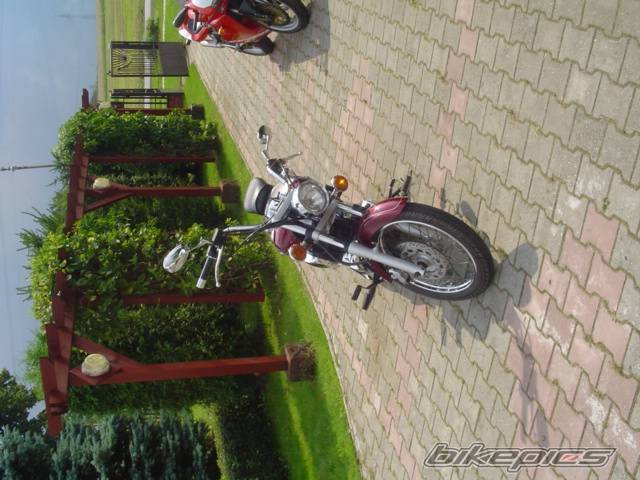 Photo 297867