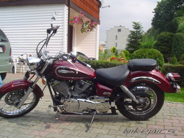 Photo 297869