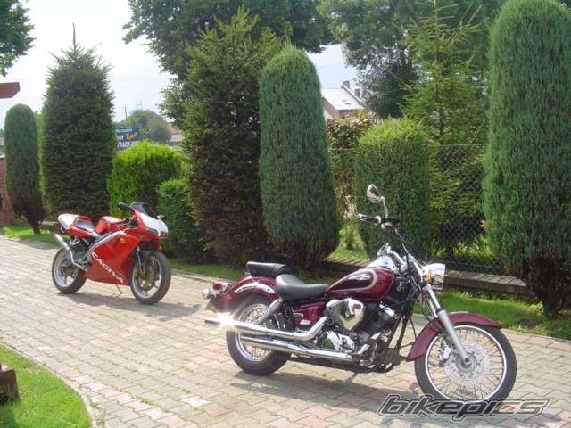 Bike Photo 297877