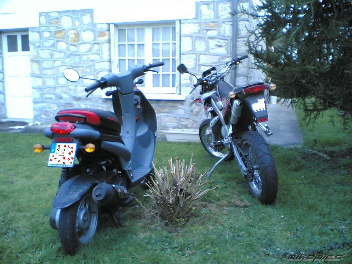 Photo 297880